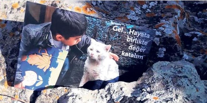 Dağdaki teröriste 'teslim ol' kartları atıldı