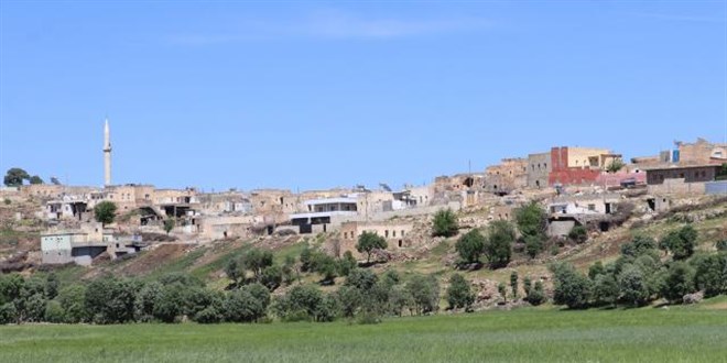 500 kişinin yaşadığı mahallede hiç vakaya rastlanmadı