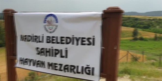 Ölen kedisini defnetmek için Gaziantep'den Osmaniye'ye getirdi
