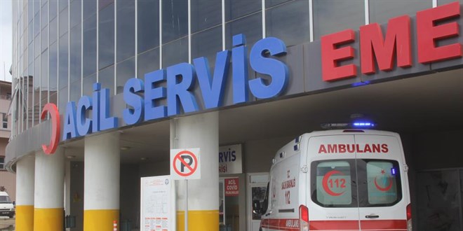 Erzincan'da 7 kişi kene ısırması sonucu hastanelik oldu