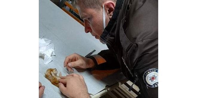 Kalbi duran kediye suni teneffüs yapan bekçi ödüllendirildi