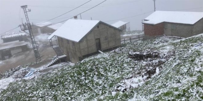Rize'de may�s ay�nda ya�an kar herkesi �a��rtt�
