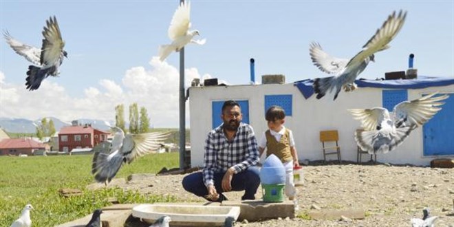 300 güvercini için arazi satın alıp, 350 bin lira harcadı