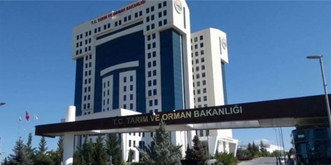Çin'den salatalık ithalatı yapıldığına ilişkin iddialara yalanlama