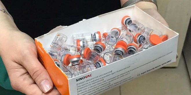 Sinovac Türkiye'ye aşı üretimi için lisans verdi