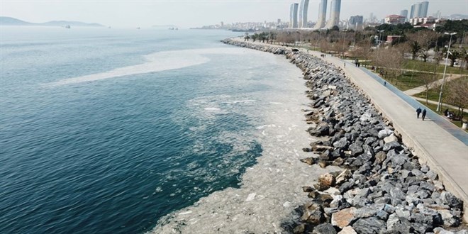 Marmara'da oluşan deniz salyası balık popülasyonunu tehdit ediyor
