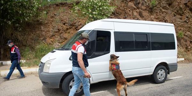 Jandarmann 'hassas burunlar' Tunceli'de terrle mcadelede nemli grev stleniyor