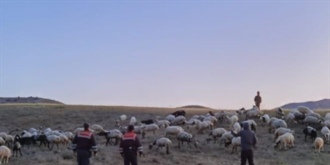 Elaz'da kaybolan 190 koyun drone ile bulundu