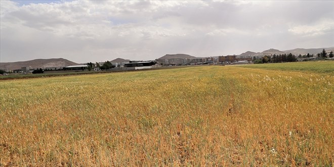 Türkiye'de 2021 su/tarım yılı 7 aylık yağışları yüzde 24 azaldı