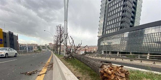 Ankara'da şiddetli rüzgar; ağaçlar devrildi, elektrik telleri koptu