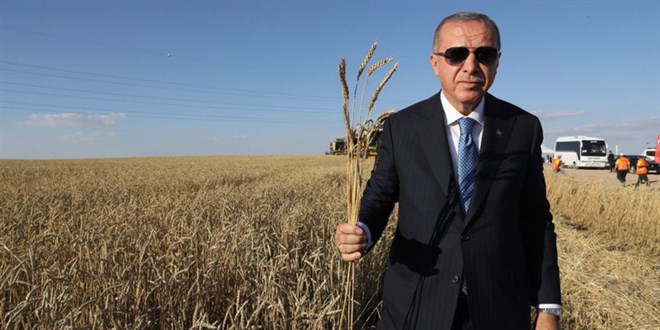 Erdoğan'ın tarımla ilgili müjdeleri Trakya çiftçisini sevindirdi