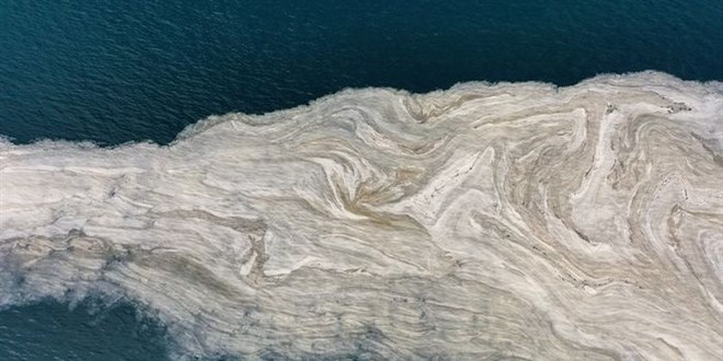 �zmit K�rfezi'nde 50 g�nde 150 ton deniz salyas� topland�