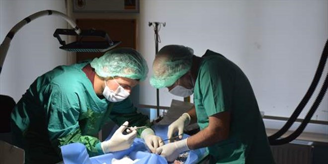 Bitlis'te kuyuya derek aya krlan kediye cerrahi mdahale