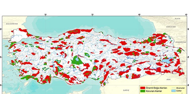 WWF'den Türkiye raporu! Avrupa'nın gerisinde kaldı
