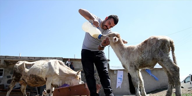 Devlet desteğiyle başladı, hayatında yeni sayfa açtı