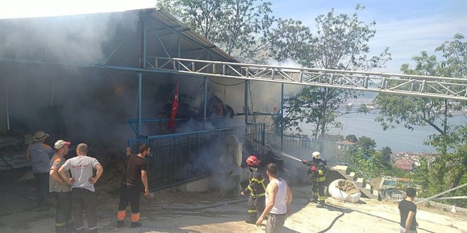 Besi çiftliğinde yangın; 1 itfaiye eri yaralandı