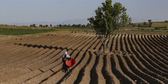  Anadolu'da 'kuraklk' iftileri tedirgin ediyor