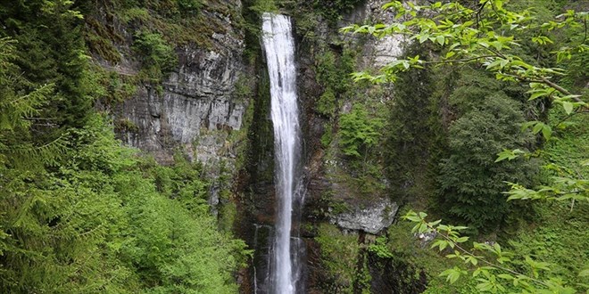 'Camili Havzas�'n�n incisi' 'Maral �elalesi' b�y�l�yor