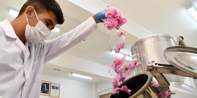 Meslek lisesi öğrencileri gül damıtmayı öğreniyor
