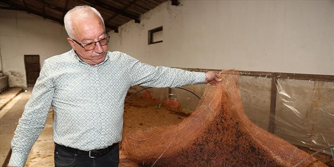 Sıfır Atık Projesi sayesinde solucan gübresi üretmeye başladı