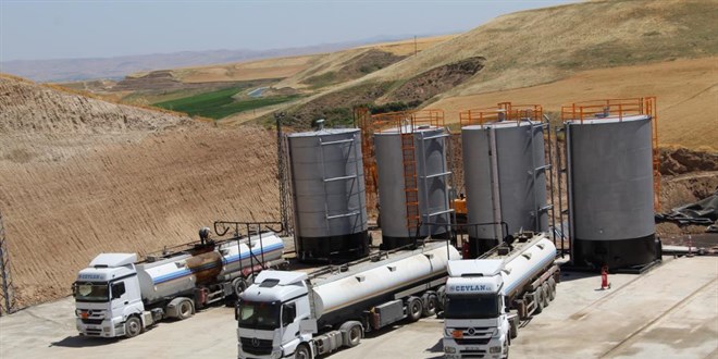 Mercimek ektikleri tarlalarında petrol fışkırdı