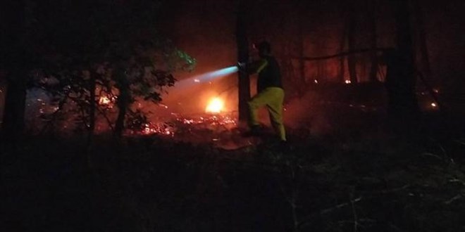 Adana'da orman yangını: Müdahale sürüyor