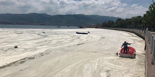 İzmit Körfezi yeniden deniz salyası ile kaplandı