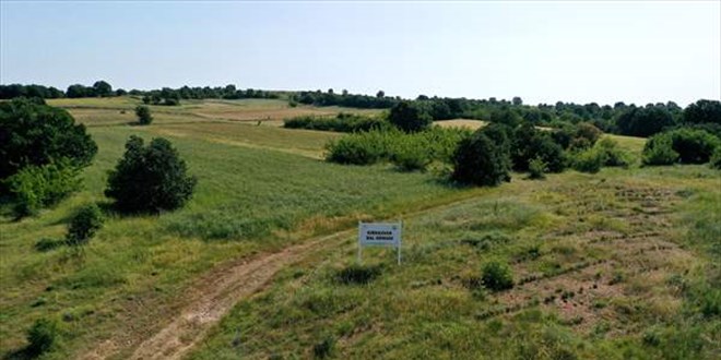 T�rkiye ve Bulgaristan s�n�r�nda 'Ye�il Gelecek' Orman� olu�turuldu