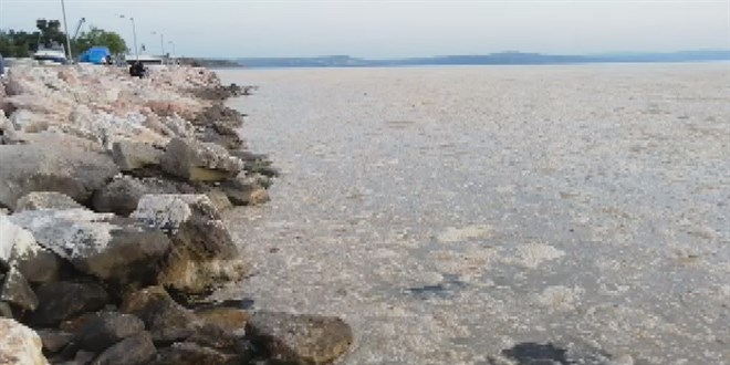 Prof. Dr. Sarı: Kırmızı mercan yatakları da ölmeye başladı