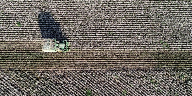Dijital takiple pamukta giderler azaldı, verim arttı