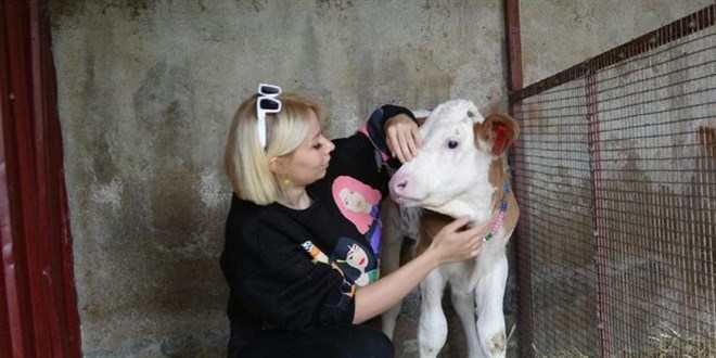 Spikerlii brakt hayvancla balad!