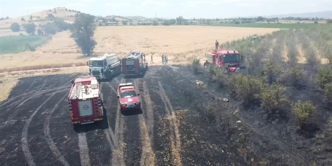 İzmir'de büyük arazi yangını: 40 dönüm arazi kül oldu
