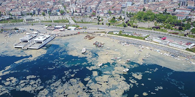 'Marmara Denizi'ni koma halinden 5-6 yılda çıkarabiliriz'
