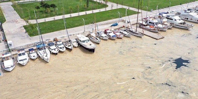 Vatandaş için en büyük çevre sorunu müsilaj