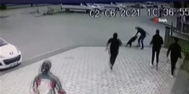 Pitbull dehşeti kamerada