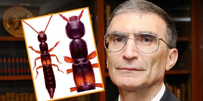 Yeni ke�fedilen yararl� b�cek t�r�, Aziz Sancar'�n ismiyle an�lacak