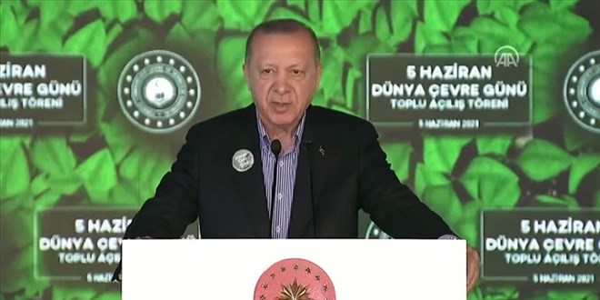 Erdoğan talimat verdi: Müsilaj belasından kurtulacağız