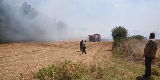 Orman yangnna neden olan kiiye 155 bin lira tazminat cezas