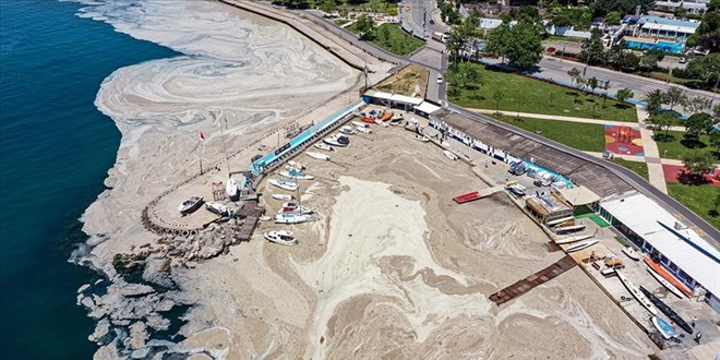 Marmara Denizi'ni kaplayan deniz salyasıyla ilgili ilk sonuçlar geldi