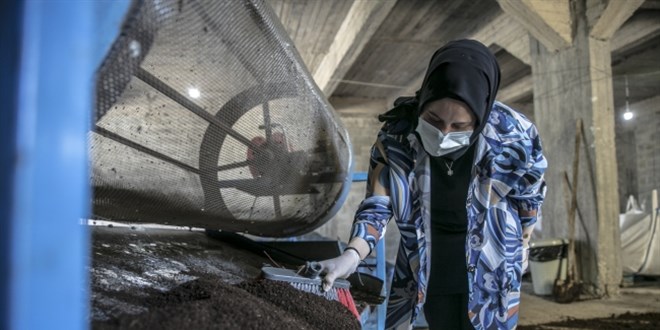 Ziraat mühendisi evinin bodrumunda solucan gübresi üretiyor