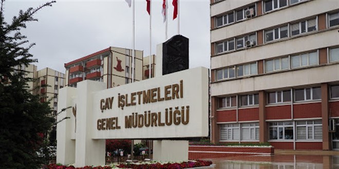 ÇAYKUR: 47 işletmede yaş çay alımı yoğun bir şekilde devam ediyor