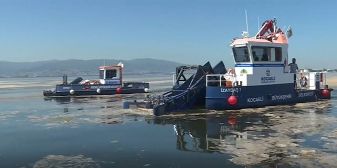 'Marmara Hepimizin' seferberliği sürüyor: Tonlarca müsilaj toplandı