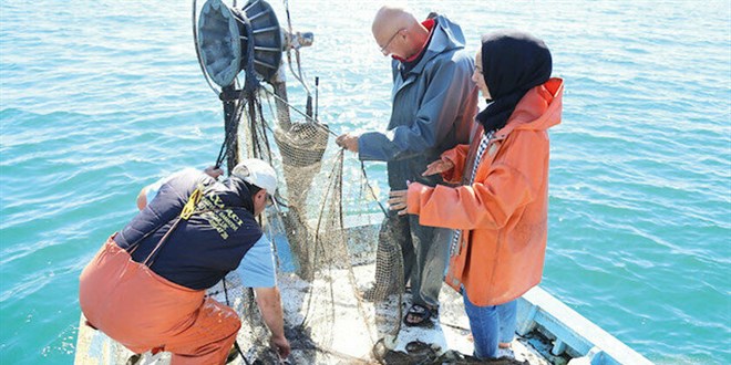 Müsilaj balığı boğdu: Yüzeyde değil asıl sorun derinlerde
