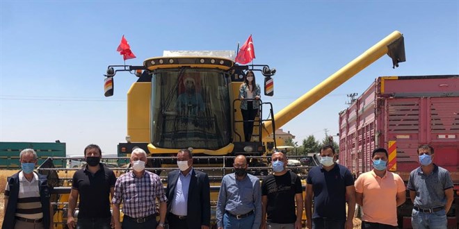 Kadın kaymakam, biçerdöver direksiyonuna geçti, hasat yaptı