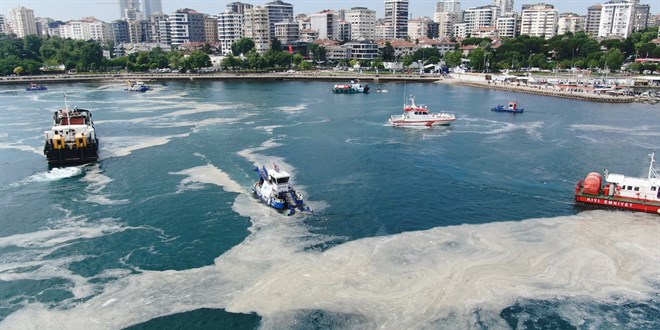 N�roloji uzman�ndan m�silaj uyar�s�: Fel� riski var