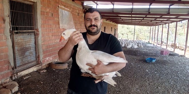 Huzuru ve para kazanmanın yolunu 'Mast kazı' üretiminde buldu