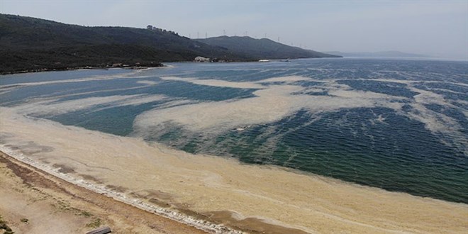 Balıkesir'de bir sanayi tesisinin faaliyetleri durduruldu