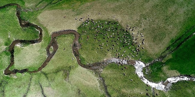 Erzurum'da kar sularının oluşturduğu menderesler büyülüyor