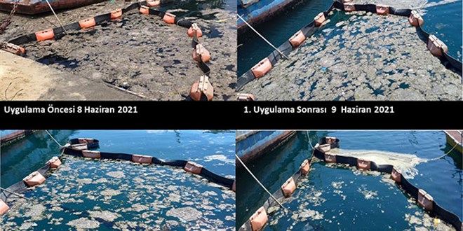 Üniversite bu yöntemle müsilajı 5 günde yok etti