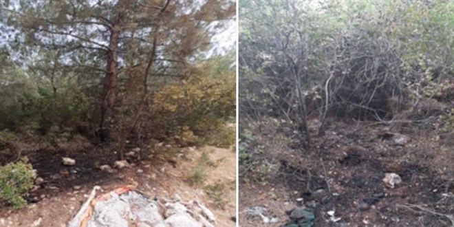 Ormanı yangını çıkaran terör örgütü PKK üyesi tutuklandı